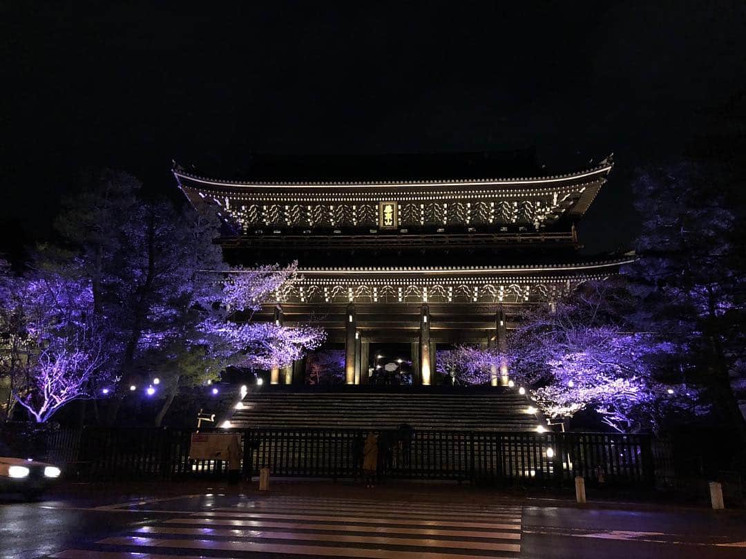 のインスタグラム：「そういえば先週知恩院と円山公園に桜見に行ってきました🌸 来年はどこのライトアップ行こうかな🧐」