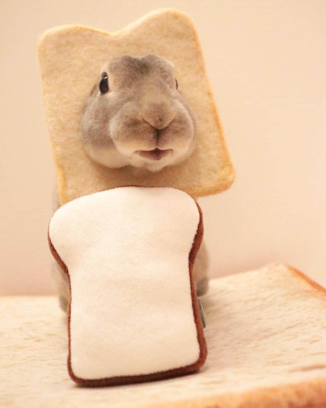 Kayoのインスタグラム：「🍞春のパンまつり🍞 🍞 🍞 今日は『パンの記念日』って。 @pekosandesu  ポスト見て気づいたよ♪ ありがと〜♪ 最近以前にも増して🍞が好きすぎる♡ そしてもちろん痩せない‥‥ 🍞 🍞」
