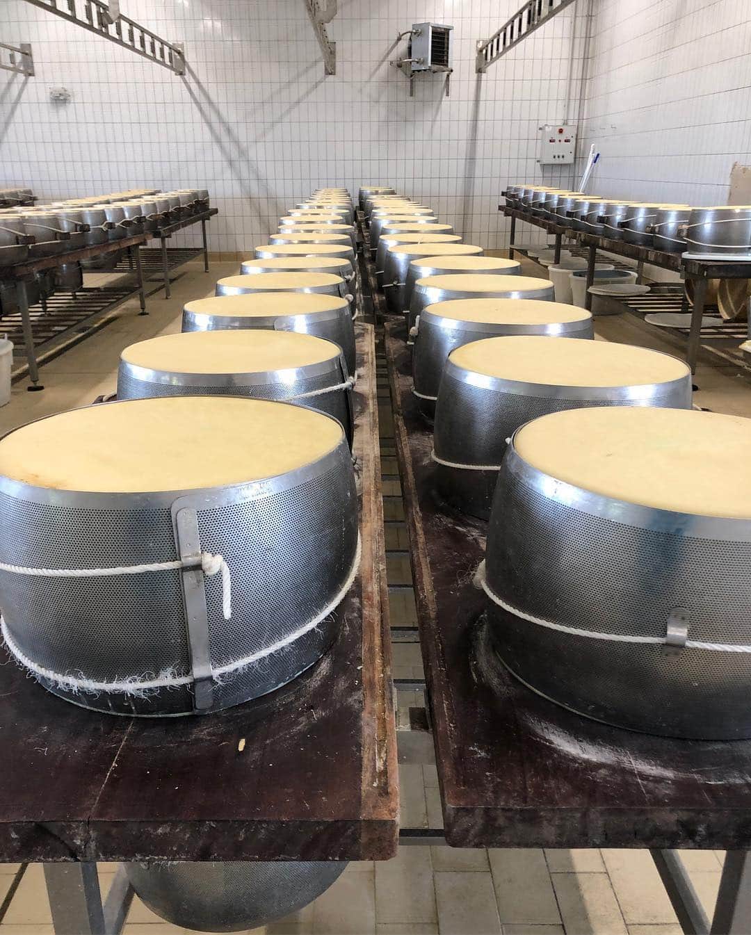 Arancino Di Mareさんのインスタグラム写真 - (Arancino Di MareInstagram)「CIAO FROM ITALY! During our study trip we had the opportunity of a lifetime to tour THE Parmigiano Reggiano factory in Parma, where our risotto cheese wheel is from!  Bellíssimo!  #arancino #arancinodimare #ristorante #italian #italy #hawaii #risotto #parma #イタリア #hawaiisbestkitchens #honolulu #honolulumagazine #cheese #frolichawaii #foodie #foodies #parmigiano #アランチーノアットザカハラ #アランチーノ #イタリアン #ハワイ #おいしい #111hawaiiaward #italia #haleainaawards #pasta #ハワイ旅行 #ハワイ大好き #parmigianoreggiano #italia」4月13日 6時36分 - arancinodimare