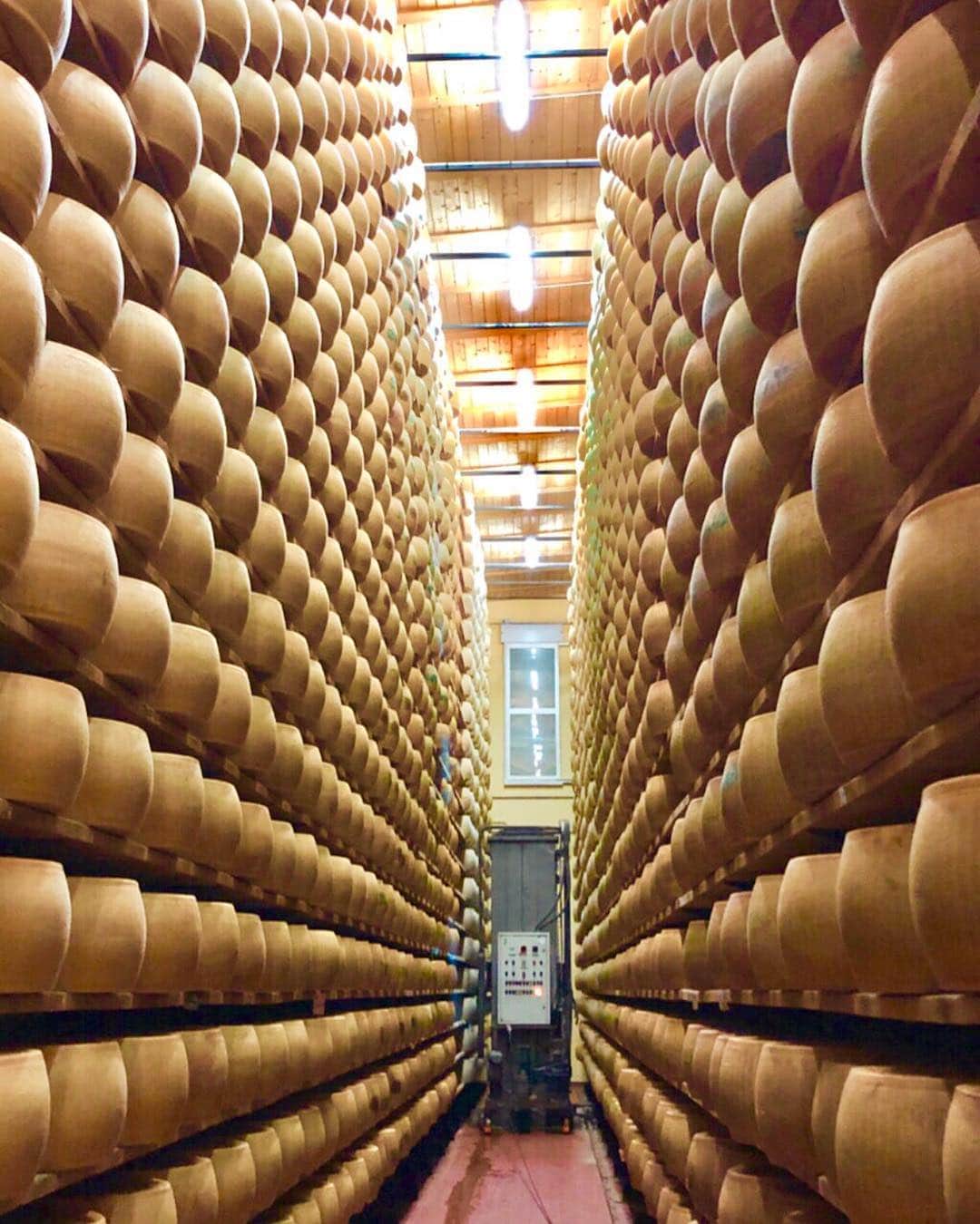 Arancino Di Mareさんのインスタグラム写真 - (Arancino Di MareInstagram)「CIAO FROM ITALY! During our study trip we had the opportunity of a lifetime to tour THE Parmigiano Reggiano factory in Parma, where our risotto cheese wheel is from!  Bellíssimo!  #arancino #arancinodimare #ristorante #italian #italy #hawaii #risotto #parma #イタリア #hawaiisbestkitchens #honolulu #honolulumagazine #cheese #frolichawaii #foodie #foodies #parmigiano #アランチーノアットザカハラ #アランチーノ #イタリアン #ハワイ #おいしい #111hawaiiaward #italia #haleainaawards #pasta #ハワイ旅行 #ハワイ大好き #parmigianoreggiano #italia」4月13日 6時36分 - arancinodimare