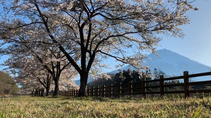 phantastic420のインスタグラム：「. 🤩🤩“Shizuoka” prefecture in Japan is a place where you can see the most “phantastic” Mt. Fuji🗻 in the world.🤩 #富士山 #mtfuji #japan #shizuoka #fujinomiya  #phantastic420photography #mostphantasticmtfuji #selamatpagi  #goodmorning  #おはようございます 😇😇😇😇😇😇😇🗻😇😇 さてとなんかめんどくさくなってしまいましたが🤣準備しますかねぇ😅とりあえず晴れて良かった😅」