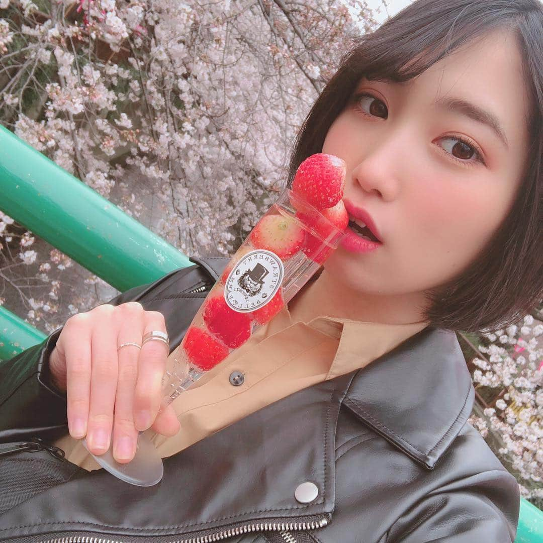 上野優華さんのインスタグラム写真 - (上野優華Instagram)「お花見いったとき🍓 インスタで見ていーなーーって思ってたんだよね。やっとGETしました！ お酒もあったけど、これはサイダー。  最近シルバーのアクセが気になる。  #目黒川 #目黒川沿い桜並木  #平成最後の # お花見  #桜綺麗 #いちご #いちごサイダー #シルバー #シルバーアクセ #リング #指輪」4月12日 22時21分 - yuukaueno0205