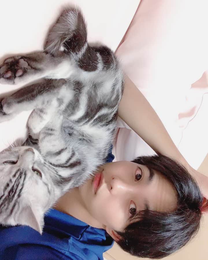 のインスタグラム：「MiMiとゴロゴロ🐈」