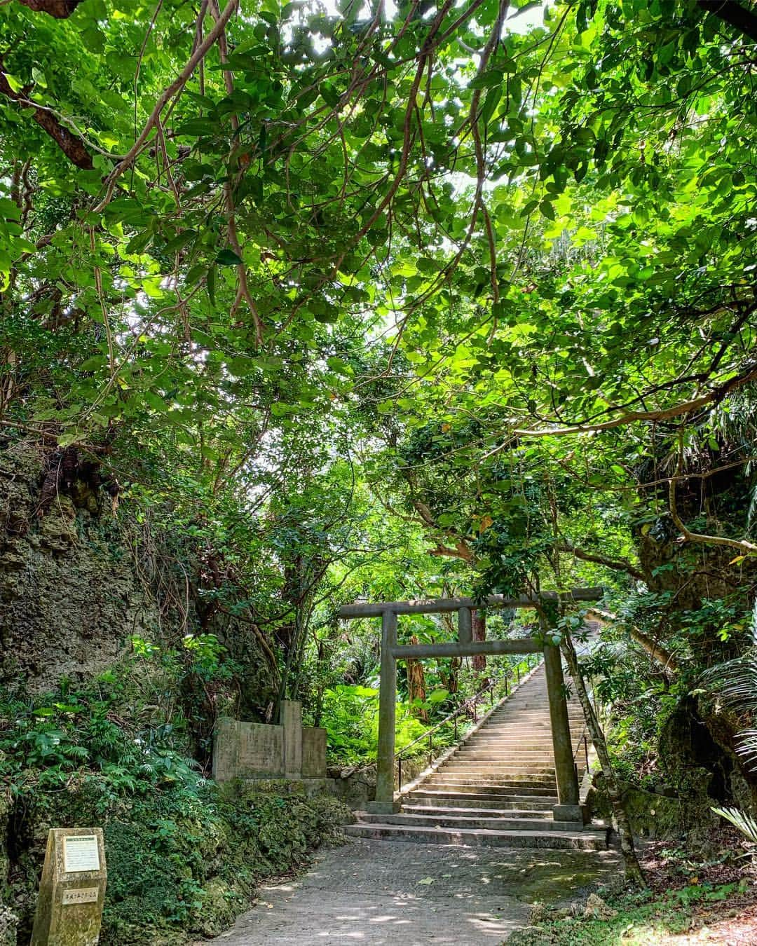 埼玉エステ＊インディバ＊戸田公園＊戸田市＊痩身＊冷え改善さんのインスタグラム写真 - (埼玉エステ＊インディバ＊戸田公園＊戸田市＊痩身＊冷え改善Instagram)「わたしの春休み。 沖縄旅。 初めて浜比嘉島を訪れました。 ・ 島そのものがパワースポットだという浜比嘉島。 シルミチュー、アマミチューの墓。 そして透明度が高いエメラルドグリーンの海。 豊かな自然に心が浄化されていくような、心地よい時間を過ごしています。 ・ ・ ・ #春休み #沖縄旅行 #浜比嘉島 #シルミチュー #シルミチュー霊場  #アマミチュー  #アマミチューの墓 #ムルク浜  #海が好き #心が洗われる #浄化される #浄化  #五感が研ぎ澄まされる ・ #埼玉エステ #戸田公園エステ #戸田市 #インディバサロン #ベルーヌ #痩身が得意」4月12日 22時52分 - bell_nu.toda