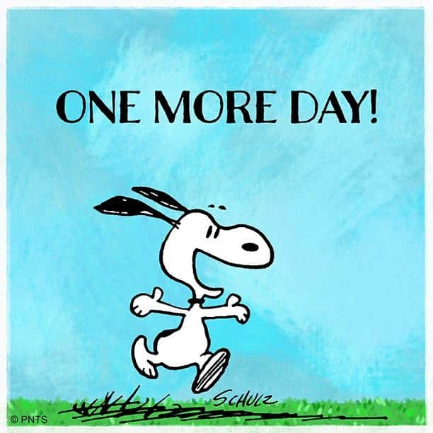 スヌーピーさんのインスタグラム写真 - (スヌーピーInstagram)「One more day until the weekend!」4月12日 23時02分 - snoopygrams