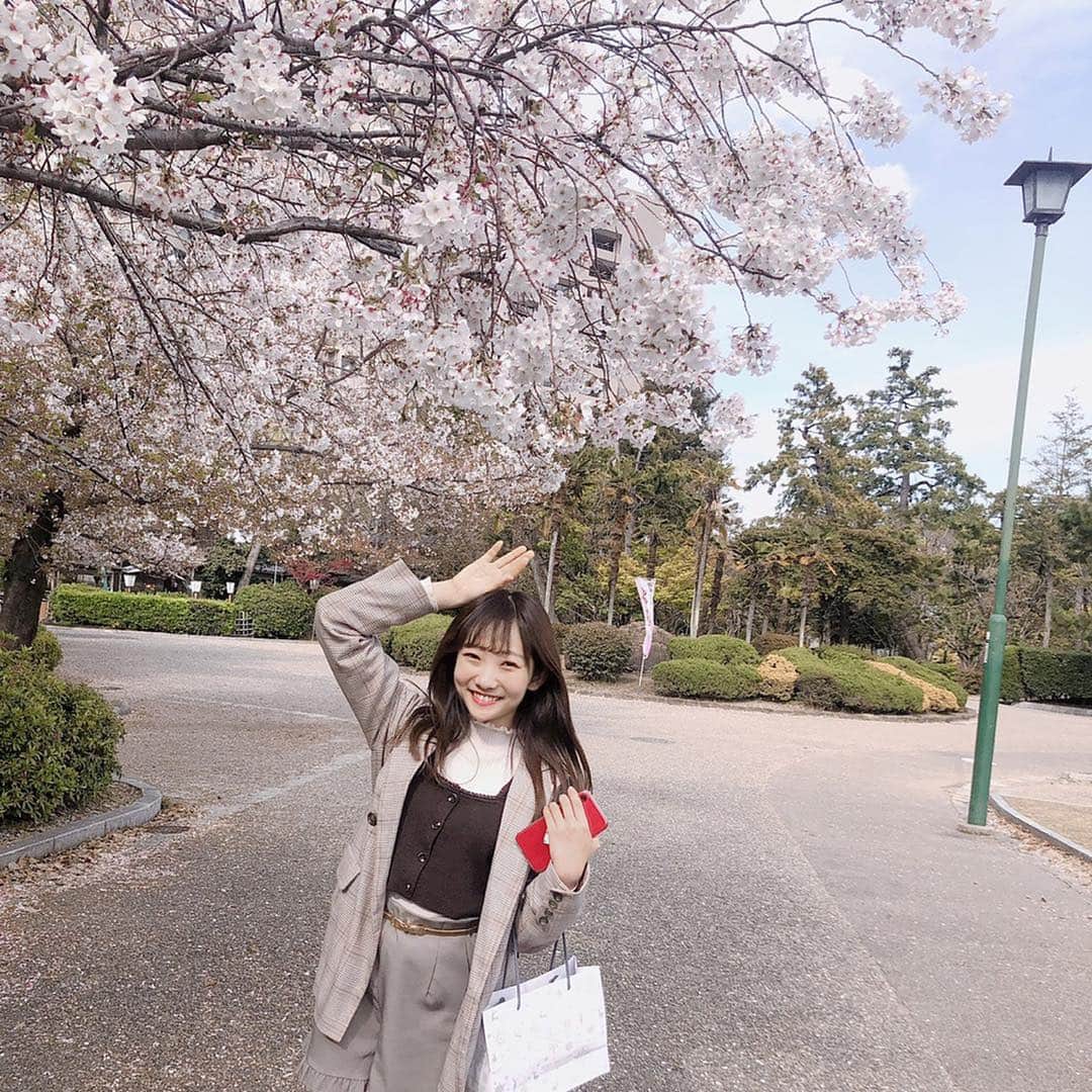 夏川愛実のインスタグラム：「ㅤㅤㅤㅤㅤㅤㅤㅤㅤㅤㅤㅤㅤ ㅤㅤㅤㅤㅤㅤㅤㅤㅤㅤㅤㅤㅤ  桜〜🌸 ㅤㅤㅤㅤㅤㅤㅤㅤㅤㅤㅤ #お花見#桜#もう#葉桜#鶴舞公園ㅤㅤㅤㅤㅤㅤㅤㅤㅤㅤㅤ ㅤㅤㅤㅤㅤㅤㅤㅤㅤㅤㅤ」