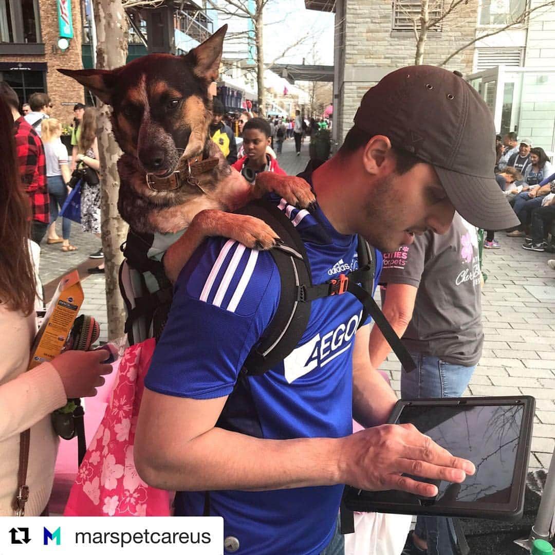 Marsさんのインスタグラム写真 - (MarsInstagram)「Pets make cities better. That's why @marspetcareus has been gathering input from families like this about how to make life with a pet easier. Please share your thoughts too! ➡ Visit BetterCitiesForPets.com and hit the orange “Assess Your City” button. #BetterCitiesForPets #ABetterWorldForPets #dogsofinstagram #dogs #pets #petfriendly」4月12日 23時58分 - marsglobal