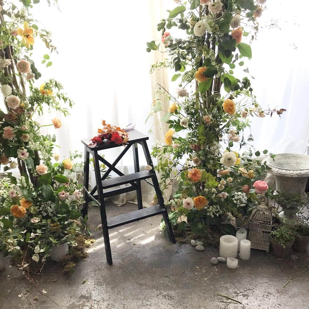 플로리스트 이주연 florist Lee Ju Yeonさんのインスタグラム写真 - (플로리스트 이주연 florist Lee Ju YeonInstagram)「. . #아치 #arch . . #수업문의 #주문예약 #lesson #Order  Katalk ID vaness52 클래스상시모집 당일꽃주문가능 WeChat ID vaness_flower E-mail vanessflower@naver.com . 강남구 신사동 515-2 📞02-545-6813 . #vanessflower #florist #flowershop #handtied #flowerlesson #花束 #花束包装 #바네스플라워 #플라워카페 #플로리스트 #꽃다발 #부케 #플로리스트학원 #신사동꽃집 #신사역꽃집 #꽃꽂이수업 #플라워레슨 #꽃다발포장법 #꽃수업 #꽃주문 #하우스웨딩 #대관 #카페대관 #강남카페대관」4月13日 0時23分 - vanessflower