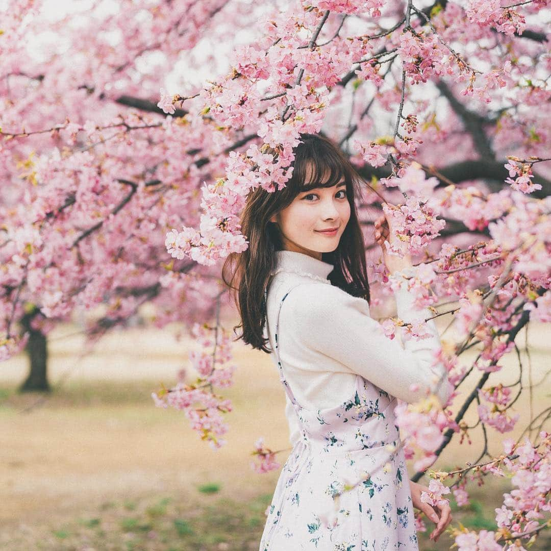 中塚美緒さんのインスタグラム写真 - (中塚美緒Instagram)「今年もお花見できてよかった！ #桜 #cherryblossom」4月13日 0時19分 - nakatsuka_mio