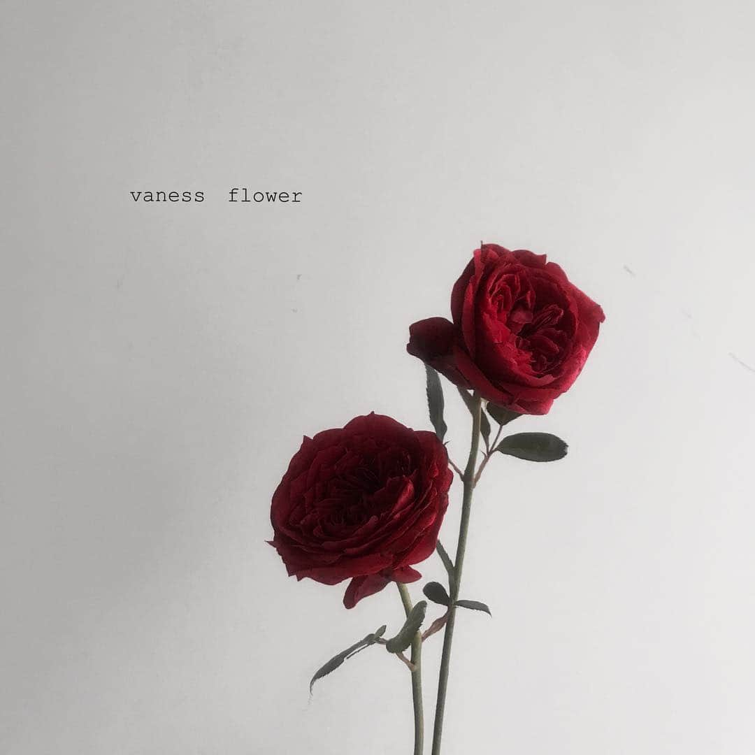 플로리스트 이주연 florist Lee Ju Yeonのインスタグラム