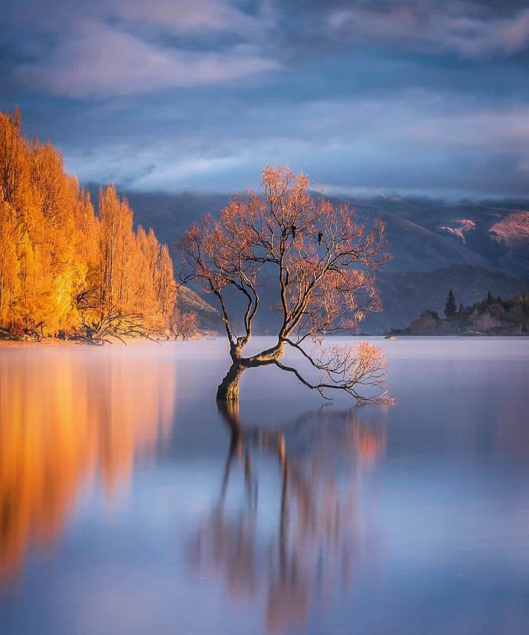 Wonderful Placesさんのインスタグラム写真 - (Wonderful PlacesInstagram)「Amazing landscapes in New Zealand ✨😍😍😍✨ . Pictures by ✨✨@rachstewartnz✨✨ #wonderful_places for a feature ❤️」4月13日 0時30分 - wonderful_places