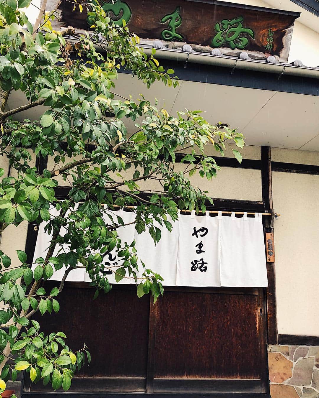 シャウラさんのインスタグラム写真 - (シャウラInstagram)「新潟の名物と言えば笹団子！今回は人生初、出来立てホカホカの笹団子をいただきました。やっぱり全然違う！新幹線に乗る前に笹団子のお店を探しこちらのやま路というお店を見つけました。ほっこり。 Niigata is known for their rice and sake but another specialty is SASADANGO. SASA means bamboo leaf and DANGO means rice cake. So just like it’s name, it’s a mugwort flavored mochi with sweet red bean paste inside, wrapped in bamboo leaves. We sought out a sasadango shop while in Niigata and got to try freshly made warm sasadango. It was so incredibly delicious.  #japan #新潟 #japanesefood」4月13日 0時30分 - shaula_vogue