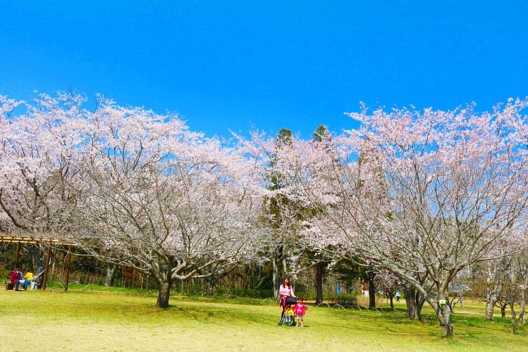 歩りえこのインスタグラム