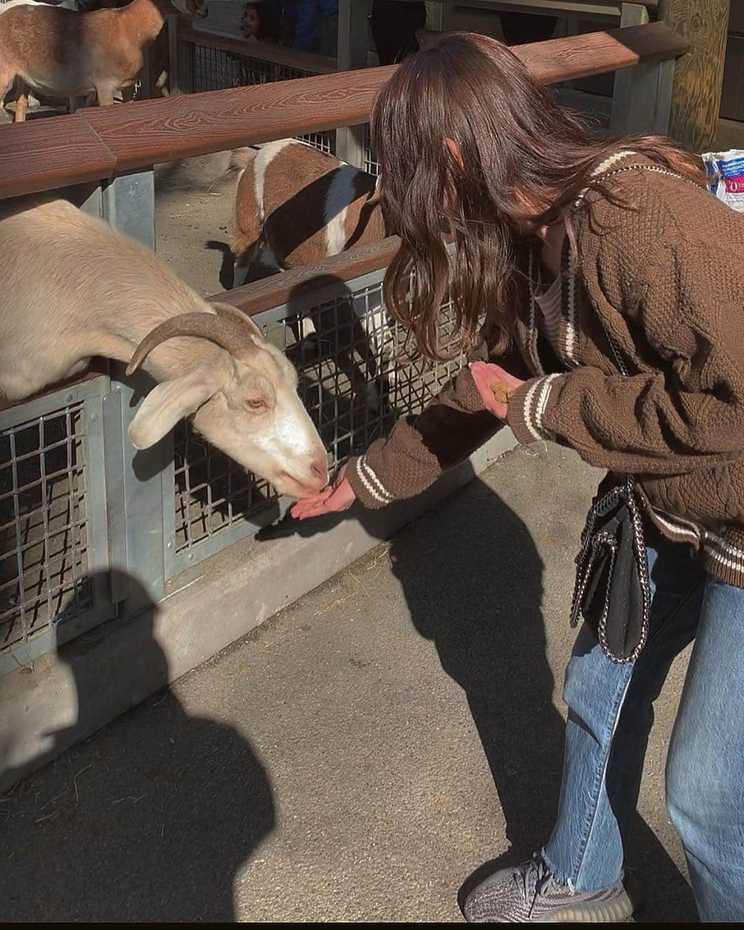 薮下柊さんのインスタグラム写真 - (薮下柊Instagram)「ヤギの目が横線なの知らんかった🐐😳 : : ちょっと怖い笑 : : あと、ニューヨークに来て結構経つけど初めてブロンクスに行った気がする😳 イメージと全然違うかった〜 : : #bronxzoo  #bronx #nyc  #ニューヨーク #ヤギ」4月13日 7時07分 - __yabushita_shu__