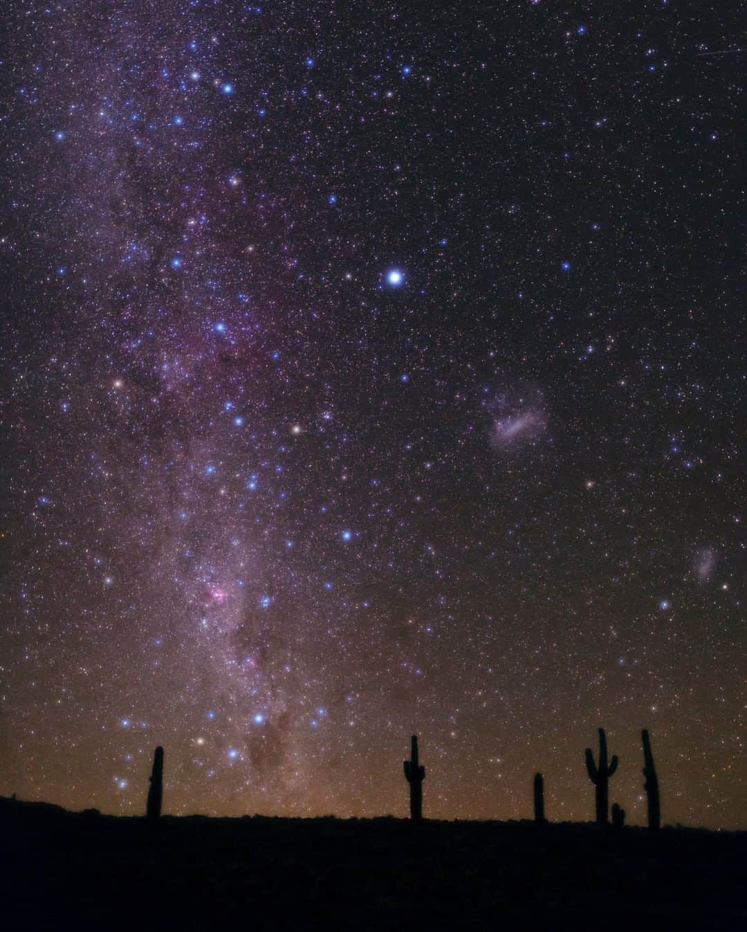 のインスタグラム：「Photo by @babaktafreshi | In a typical moonless night deep in Chile's Atacama Desert, you're under an ocean of stars. Look all around the horizon: there's no prominent sign of city lights. Not many locations are left on this planet where you can still experience a dark sky like this. I have been to the greatest dark skies on every continent, from the heart of the Sahara to the Himalaya and to islands in the Pacific. But what makes Atacama unique is being dry and clear for so many nights a year. Photographed here is the southern sky above a cactus forest on high-altitude desert. Canopus, the second brightest star in the night sky, is near the center, next to the Magellanic Clouds (Milky Way’s satellite galaxies), easily visible to the naked eye. The iconic Southern Cross, the smallest constellation, is right above the hill. Read about my favorite dark sky locations in the “World’s Best Stargazing Sites,” published on natgeo.com. Follow @babaktafreshi for more. #saveournightsky #astrophotography #canopus」