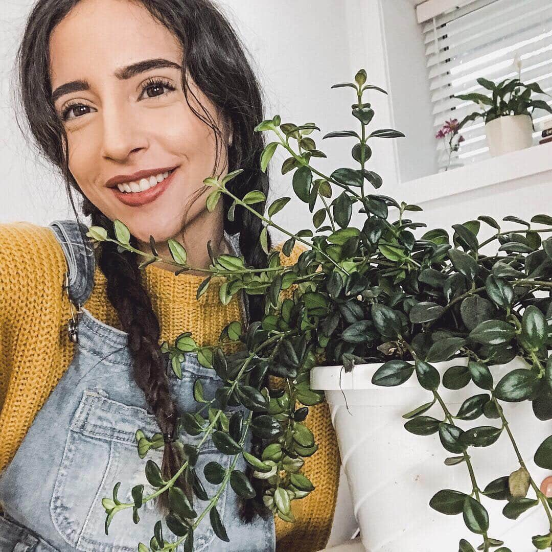 Sarah Ramadanさんのインスタグラム写真 - (Sarah RamadanInstagram)「taking selfies with my plants, I think this is normal?! 😂💜 this is my beautiful goldfish plant that i’m too scared to name in case it dies on me😕 so far it’s been thriving though 🌿🍃☺️ any plant mamas out there? what’s on your plant wish list? 💜😍」4月13日 2時03分 - fightforgrowth