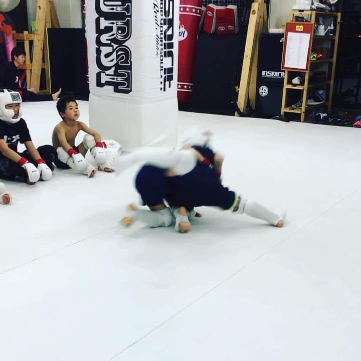 藤井惠のインスタグラム