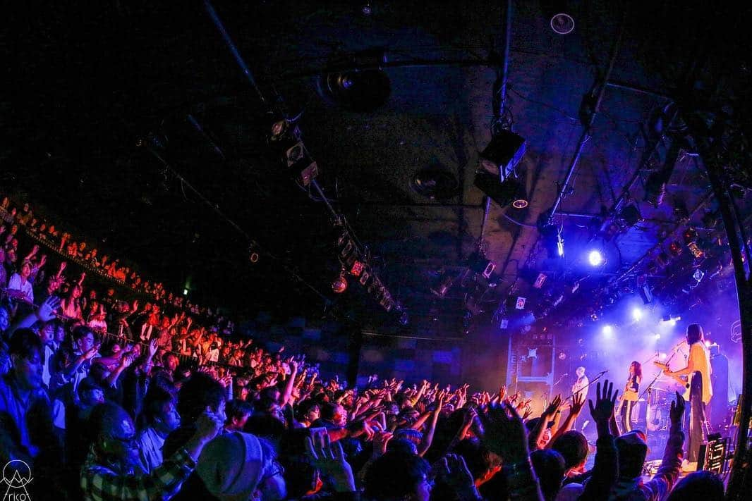 tricotさんのインスタグラム写真 - (tricotInstagram)「4.12.19 DAIHANSYASAI Tour. QUATTRO,Osaka Pic: @yksn_photo  #tricot」4月13日 2時25分 - tricot_band_jp