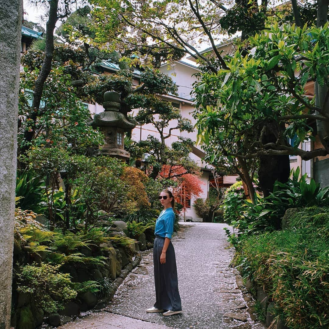 メリティナ・スタニウタさんのインスタグラム写真 - (メリティナ・スタニウタInstagram)「I dream of you in colors that don't exist  But ... They do exist.  In Japan 🍀🍂⚘🌺 ⠀ Теперь это прекрасные воспоминания -открытки 😍. В Минске , если что . ⠀ #japan #tokyo #nature #travel #traveltheworld #traveltokyo #」4月13日 2時33分 - melitinastaniouta