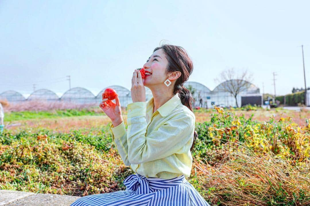 名越涼子さんのインスタグラム写真 - (名越涼子Instagram)「🍅 青空の下で パンパンにはったたわわなトマトをパクッ。  採れたてに勝るうまさなし。  一一一一一一一一一一一一一一一一一一一一一一一一一一一一 #トマト#tomato#浜名湖#小林農園#農業女子#農業男子#美味しい#採れたて#野菜#vege#vegetable#野菜生活#畑#farm#farmer#farmgirl#畑で#smile#笑顔#tomatofarm」4月13日 2時30分 - nagoshi_ryo