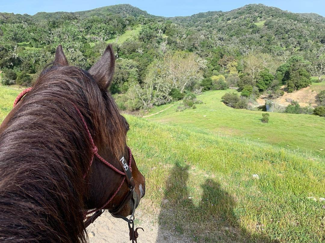 シャナン・ドハーティーさんのインスタグラム写真 - (シャナン・ドハーティーInstagram)「Off the grid. Horses. Cattle. My soul is starting to feel rejuvenated again. Back when I’m back.. #mountainlife #ranchlife #nocellexceptforonemountaintop which I’ll avoid for rest of time here.」4月13日 2時41分 - theshando