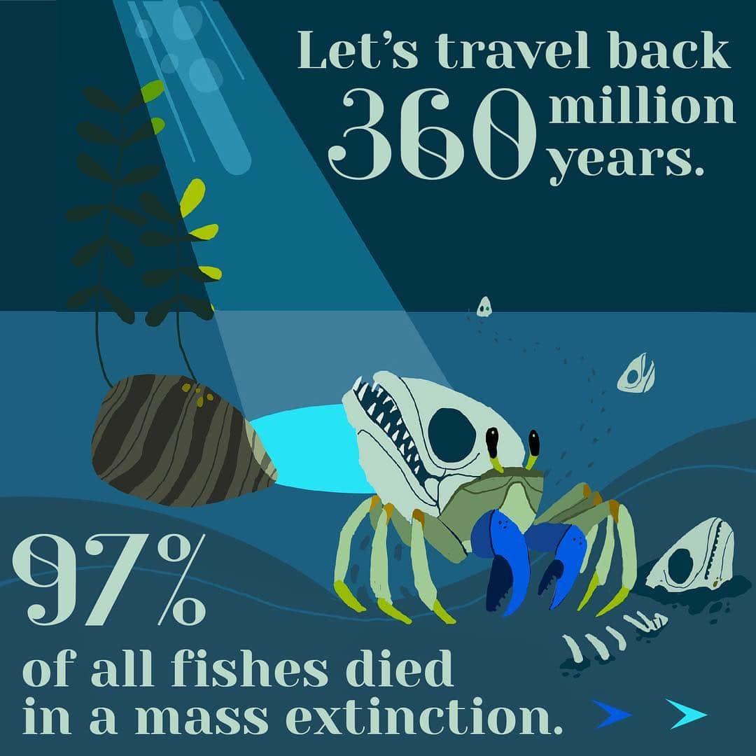 TED Talksのインスタグラム：「Flip through the images to learn why a mass fish extinction millions of years ago still matters today. This post is based on a #TEDTalk by Lauren Sallan, a paleobiologist and @TEDFellow. Watch the full version at go.ted.com/fishextinction Illustration and animation by @dennism00re」