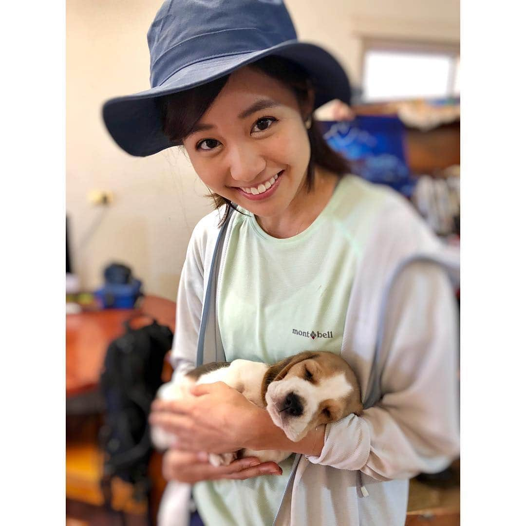 VANRIさんのインスタグラム写真 - (VANRIInstagram)「🐶 The footage all finished! We'll back to 🇯🇵✈️ #世界ふしぎ発見 #ミステリーハンター #撮影無事終了 #無事に帰宅するまでがお仕事です  #おかーちゃんちょっと浮気しちゃったよ #すっごく癒されたんだよ #ビーグルの赤ちゃん #撮影の合間に撫でてたら寝ちゃった #何しても起きないの #持って帰りたかった #はなび焼きもちやくからダメだな #きなこーぱんーはなびー #おかーちゃん帰るよー #今回のロケもやばかったのですいろいろと #はよ語りたいぜ」4月13日 4時03分 - vanri0121