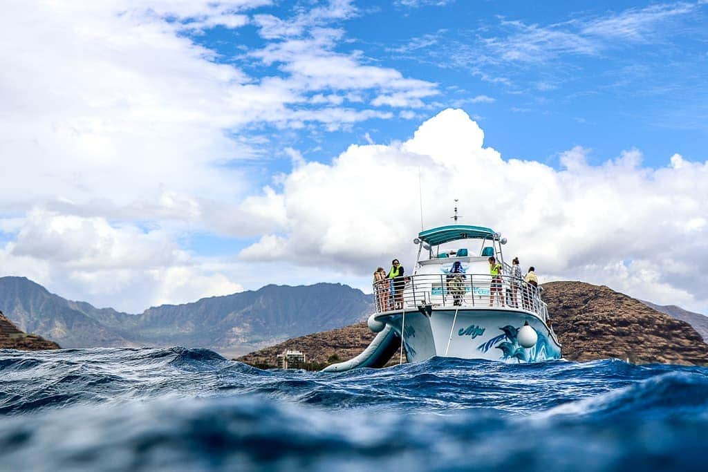 And Youさんのインスタグラム写真 - (And YouInstagram)「This is how we imagine our boat looks from the perspective of a dolphin 🐬👀. . . . #perspective #dolphin #boat #oahutour #boatlife」4月13日 4時53分 - dolphinsandyou