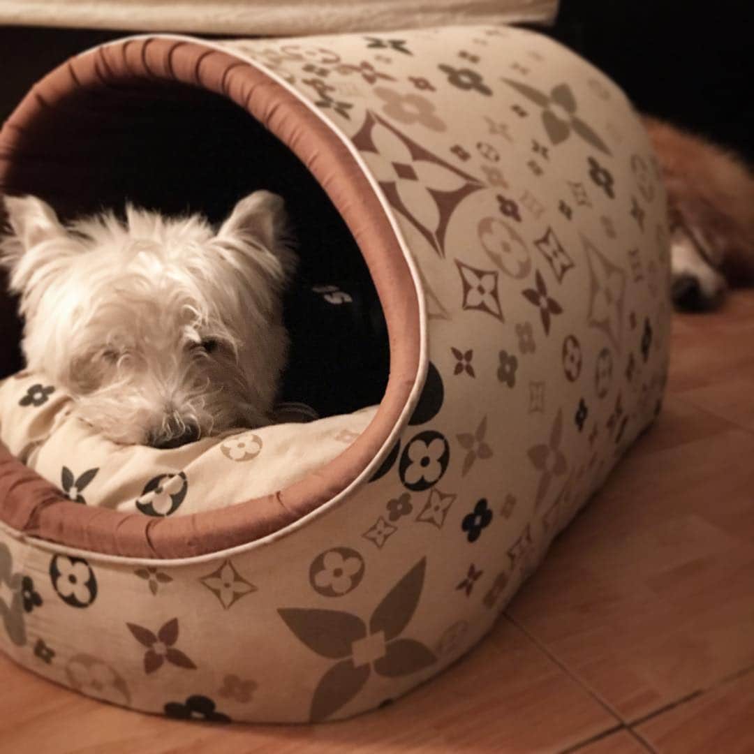 Hoykong&Plamuekのインスタグラム：「Good night #hkpm」