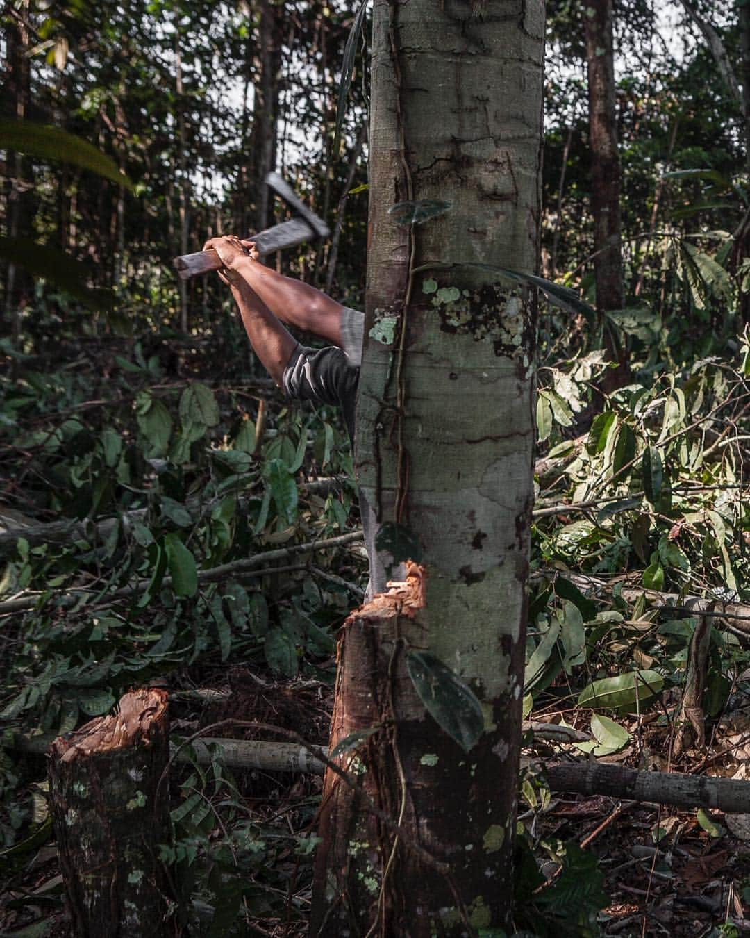 ジョン・スタンメイヤーさんのインスタグラム写真 - (ジョン・スタンメイヤーInstagram)「Swipe - I was in Peru in 2006 on a @natgeo story about our biggest killer on earth. No, not by people, although it could be given the way we treat each other. It’s something tinier - mosquitos. ⠀⠀⠀⠀⠀⠀⠀⠀ Annually, there are roughly 200 million malaria cases, an estimated 400+ thousand malaria deaths worldwide. When an area of the Amazon east of Iquitos had a road asphalted in 2004, a dramatic effect occurred. Deforestation and rapid development, and rates of malaria skyrocketed...when trees are cut, the sun reaches pockets of rain, creating a perfect breeding ground for mosquitoes. ⠀⠀⠀⠀⠀⠀⠀⠀ Another killer is ourselves. We continue to tear apart our planet like children fight over candy, exacerbating weather and climate change, taking away the lungs of our earth. We’re living in precarious times where only collectively can we balance an extremely unbalanced world. - Photo #1: To do this story properly, I didn’t want to be more privilege than the kind people who allowed me into their lives. As a test, I chose not to take any malaria prevention. Only 2 long sleeve shirts, 2 trousers, a mosquito net and an occasional insect coil. I never contracted malaria. ⠀⠀⠀⠀⠀⠀⠀⠀ Photo 2: Small scale farmers cut trees with an ax. Here, a total of 100x2000 meters of trees were turned to charcoal. Once clear of all trees, this once pristine part of the Peruvian Amazon became farmland. ⠀⠀⠀⠀⠀⠀⠀⠀ Photo 3: Cut trees to be turned into charcoal along the Iquitos-Nauta Highway. Without trees it becomes a perfect place for mosquitoes to breed. ⠀⠀⠀⠀⠀⠀⠀⠀ Photo 4: (Swipe) A family makes a living by cutting down small sections of the Peruvian Amazon, burning trees in a kiln for charcoal. Beginning in 2004, homes, farmland and families spread into the Amazon basin between Iquitos and Nauta, Peru. ⠀⠀⠀⠀⠀⠀⠀⠀ Photo 5 (swipe panorama): Larger scale deforestation for charcoal and farmland begins to spread after the Iquitos-Nauta Highway was completed in 2004. ⠀⠀⠀⠀⠀⠀⠀⠀ Photo 6: Full panorama. - @natgeo @natgeocreative #peru #amazon #peruvianamazon #malaria #deforestation #climatechange #selfportrait #selfie #rareselfie #fromtheotherside」4月13日 16時16分 - johnstanmeyer