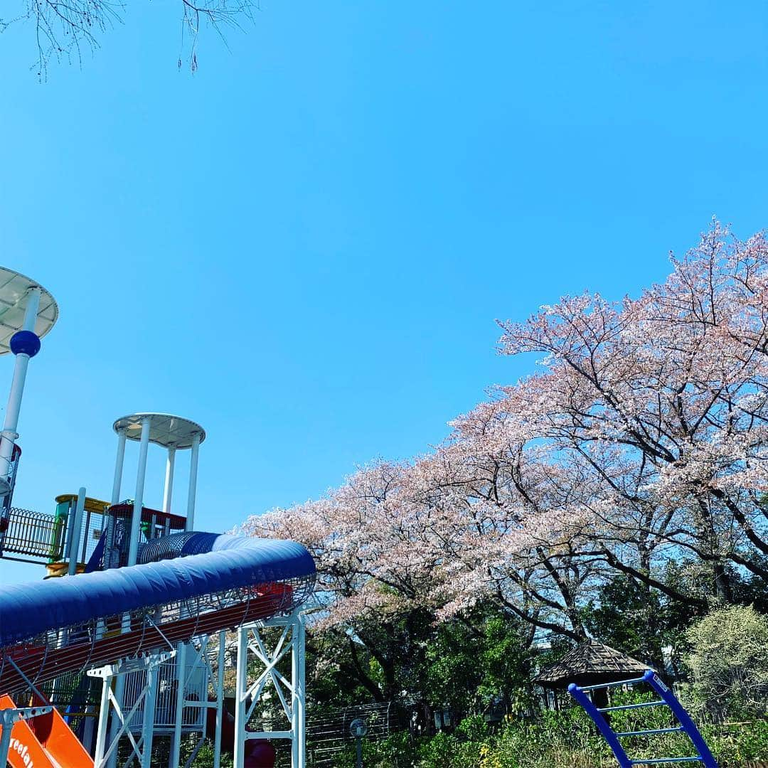 杉浦太陽さんのインスタグラム写真 - (杉浦太陽Instagram)「週末は最高の天気で、としまえん！ 年パス更新！(^^) ついでに、遊ぼ〜！ #週末の家族 #遊園地 #としまえん #年パス更新 #花見もまだ出来る！」4月13日 14時57分 - sugiurataiyou_official