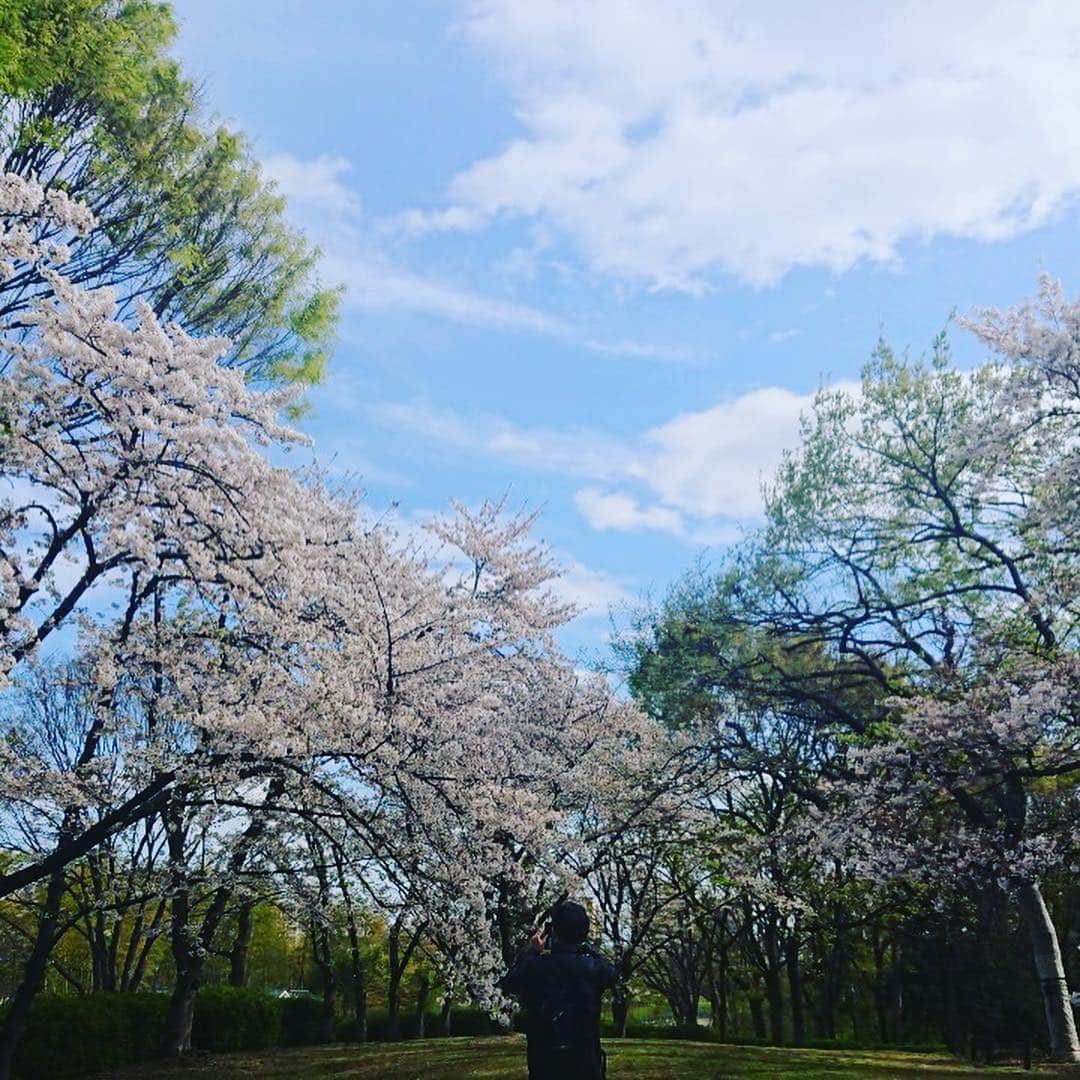 高本剛志さんのインスタグラム写真 - (高本剛志Instagram)「長居公園は満開。 造幣局の通り抜けは4分咲き。 クジラの骨はでかい。  #長居公園 #造幣局の通り抜け #花見 #クジラ」4月13日 14時56分 - takamoto76