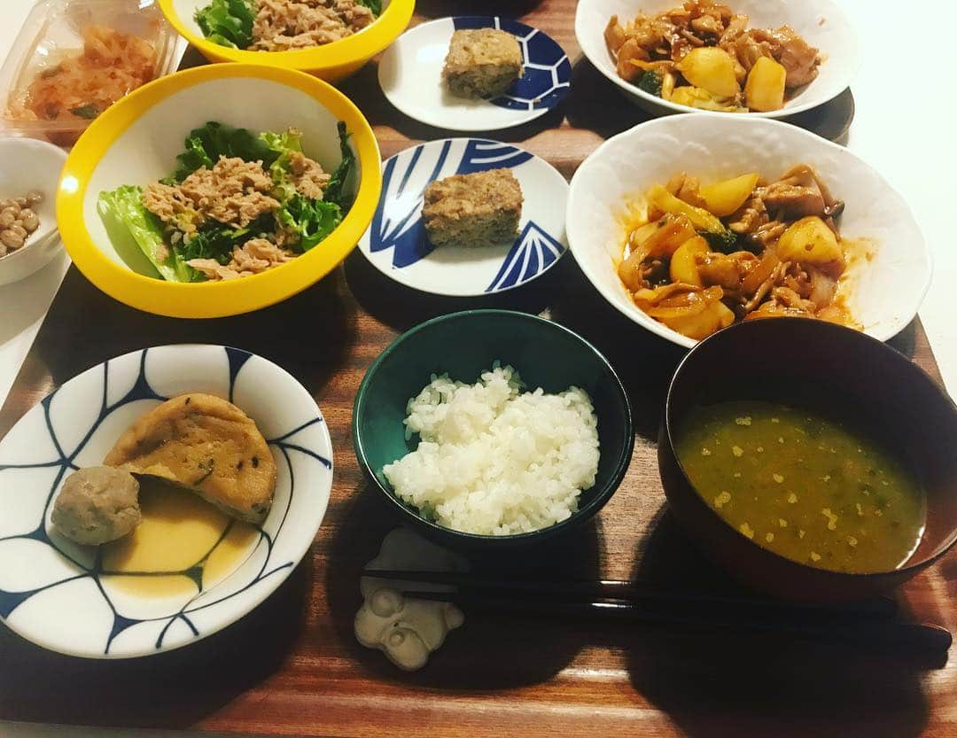 有働文子さんのインスタグラム写真 - (有働文子Instagram)「昨日のお家ご飯🏠🍚野菜がまだまだあります...次はどうしようかな？🥺 #野菜スープ #煮物 #ツナサラダ #トマトチキン煮込み #イワシハンバーグもなかなかいける #お家ご飯」4月13日 15時23分 - udou_fumiko