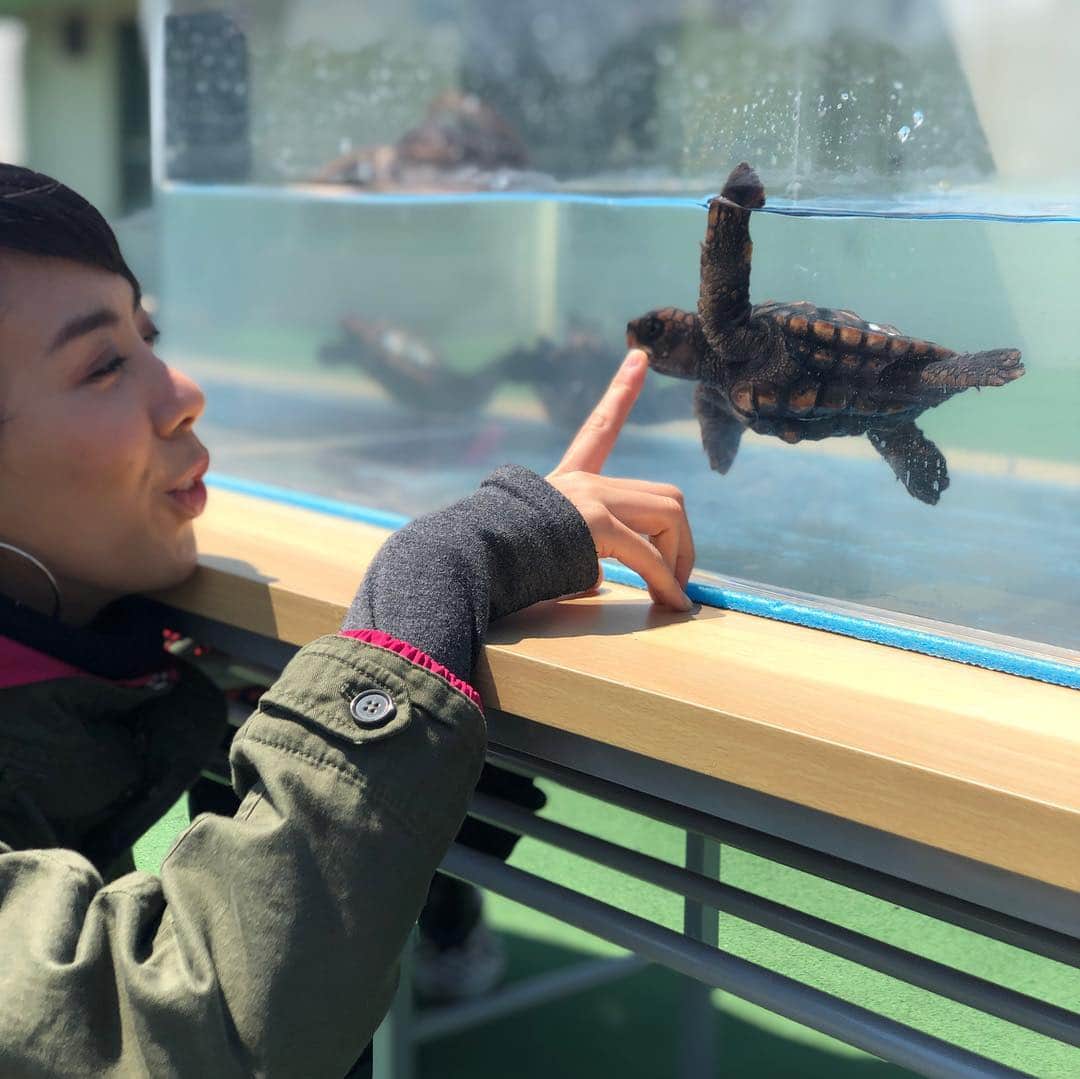 LOVEさんのインスタグラム写真 - (LOVEInstagram)「浜崎美保ちゃん @mihohamasaki_japan と一緒に本日はコスモアースコンシャスアクト クリーンキャンペーンin 市原！ ゴミ拾い→カレー🍛→アカウミガメの勉強→ライブ  いい一日でした😊」4月13日 15時20分 - loveyanen_official