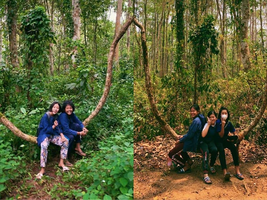 Amata Chittaseneeさんのインスタグラム写真 - (Amata ChittaseneeInstagram)「Season change - ป่าช่วงมีน้ำ VS ป่าหน้าแล้ง - มาสัมผัสป่าเดิม ในช่วงเวลาที่ต่างกัน  รูปซ้ายปี 2018 ปลายเดือนตุลาคม  รูปขวาปีนี้ 2019 เดือนเมษายน - สิ่งที่เห็นและความแตกต่าง ไม่ใช่แค่ความแล้งหรืออากาศที่ร้อน แต่มันคือความสวยจากธรรมชาติที่ไม่แพ้กัน -  ป่าช่วงมีน้ำ ธรรมชาติให้ความเขียว ดอกไม้พืชพันธุ์ดูชุ่มชื้น ครั้งนั้นได้มีโอกาสมาเรียนเกี่ยวกับจุลินทรีย์และผู้ย่อยสลาย - ป่าหน้าแล้ง ก็ไม่แพ้กัน ถึงมันจะดูเงียบเหงาไปซักหน่อย แต่ก็มีเมล็ดพันธุ์นาๆชนิดรอวันที่ฝนตกและกลับมาร้องเพลงกันอีกครั้ง」4月13日 15時32分 - pearypie