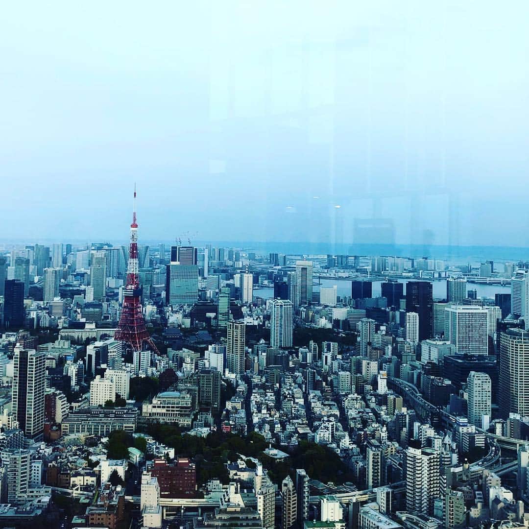 阿部洋子さんのインスタグラム写真 - (阿部洋子Instagram)「🗼 #52階  #tokyotower」4月13日 15時30分 - hirocoring