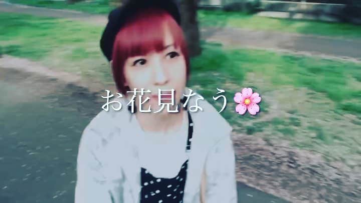 荒金さとみのインスタグラム：「(*´ー｀*)お花見なう🌸 いつもの自撮り棒じゃなくてスタビライザーで撮ったら滑らかになったの✿」