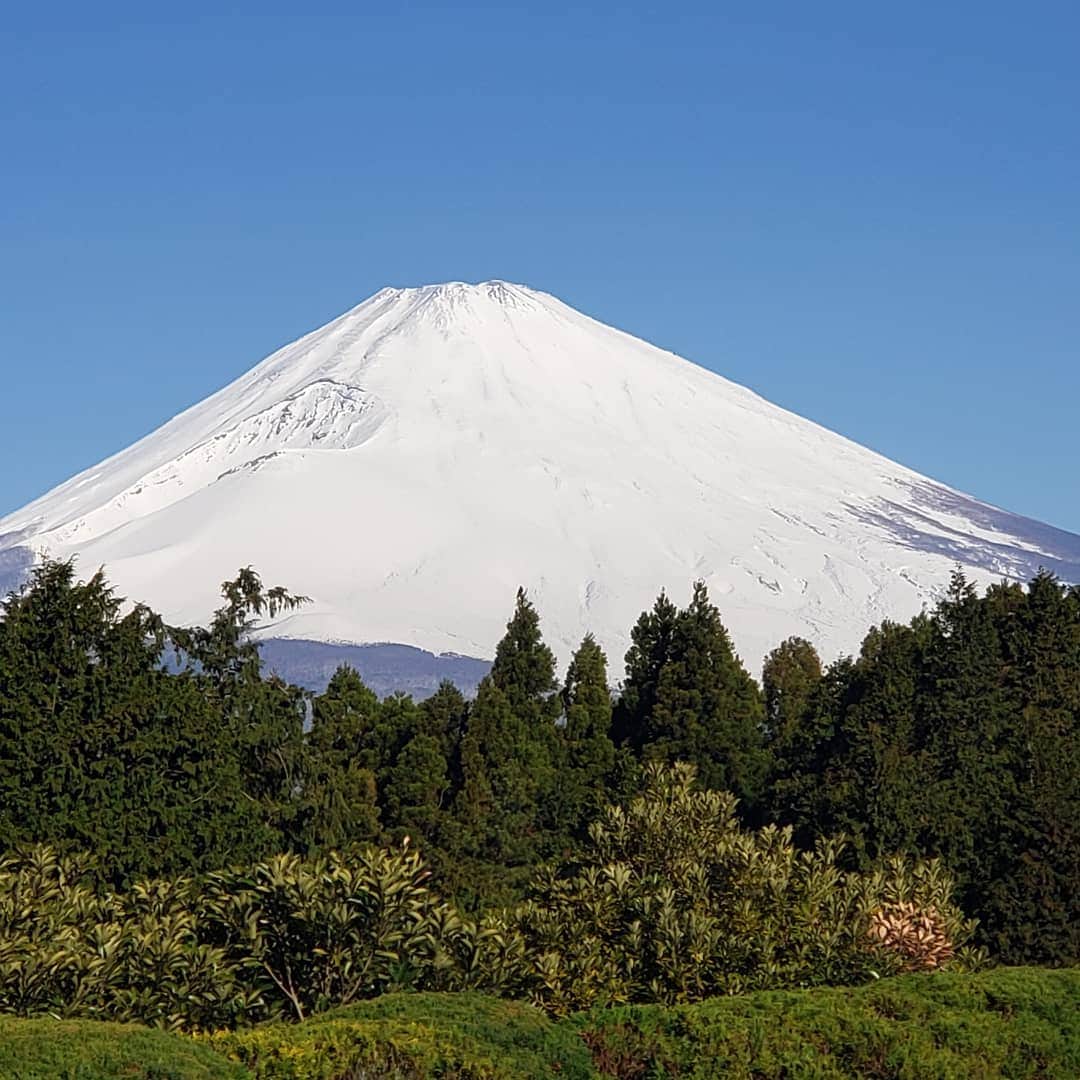 大西ライオンさんのインスタグラム写真 - (大西ライオンInstagram)「とんでもない大きさの富士山見れたんで、元気出ます！パワーもらって頑張りましょ！ #富士山 #パワー #mtfuji」4月13日 7時34分 - onishilion2010