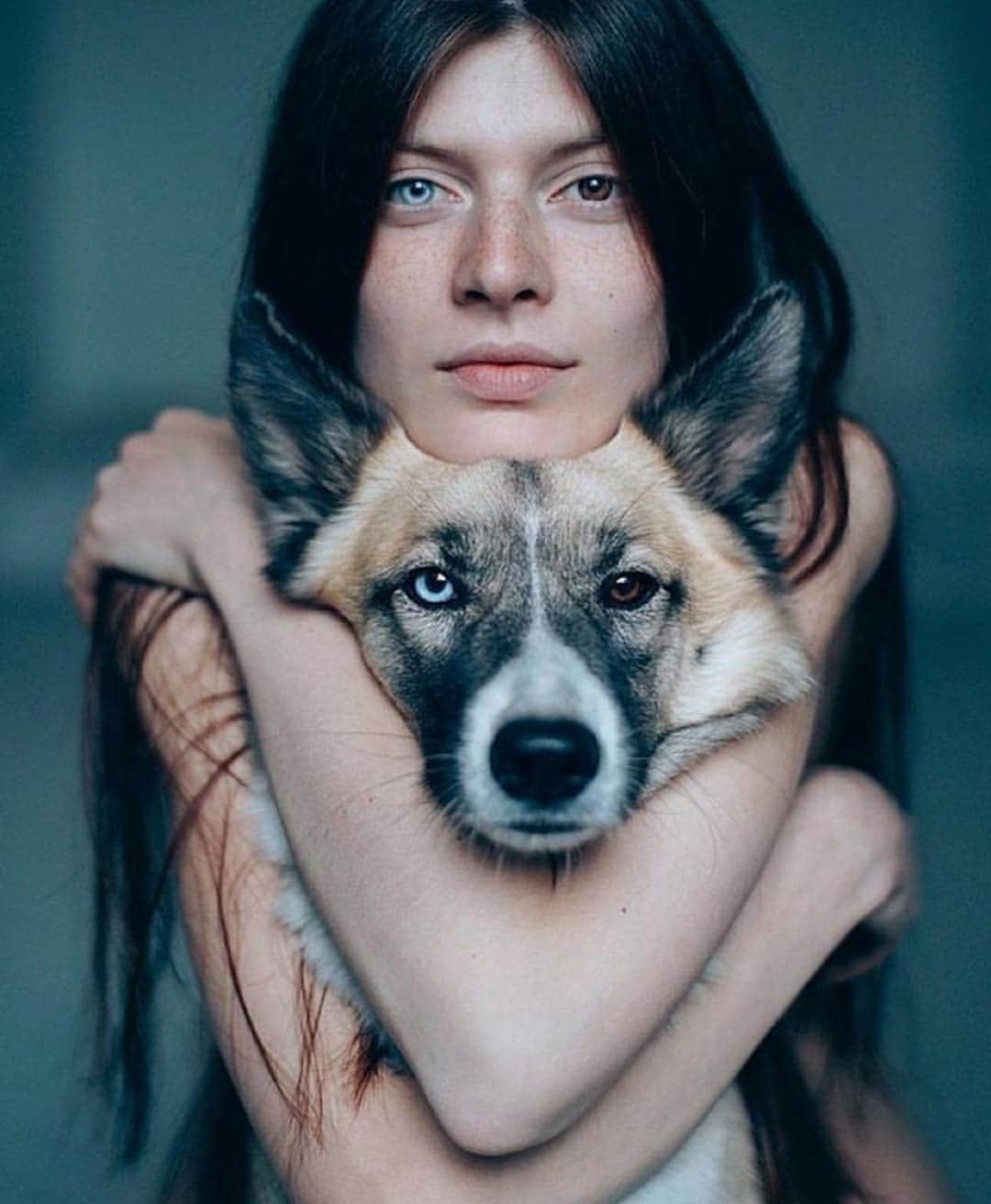 WildLifeのインスタグラム：「Tag your best friends! Those eyes 😍🐺 By @sarakhanov Model @gmentezi」