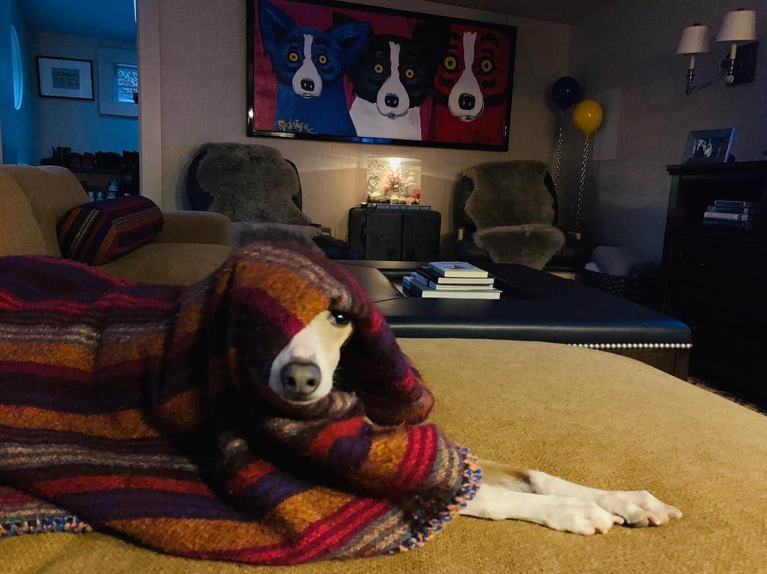 エリザ・ドゥシュクのインスタグラム