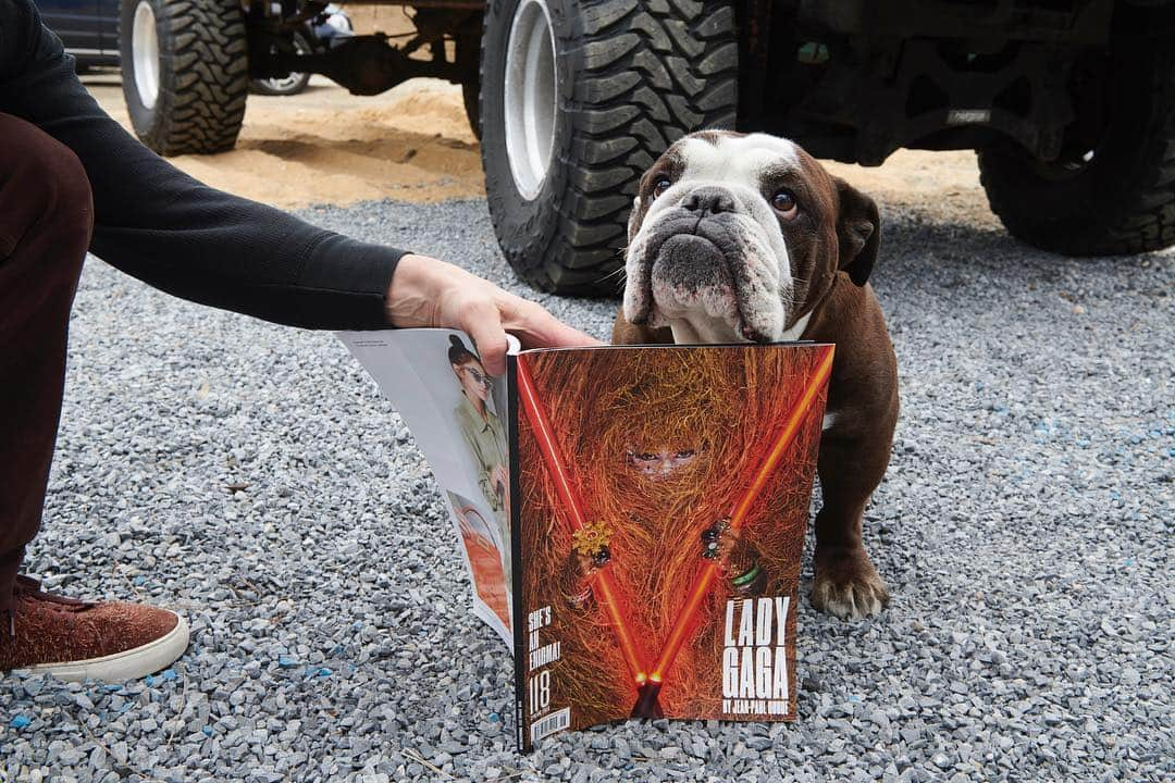 V Magazineさんのインスタグラム写真 - (V MagazineInstagram)「Less fierce than #V118, but all the more cuddly 🐶 Man’s best friend got one of the last few newsstand copies, have you gotten yours? — Photographed by @gregbackstage」4月13日 8時37分 - vmagazine