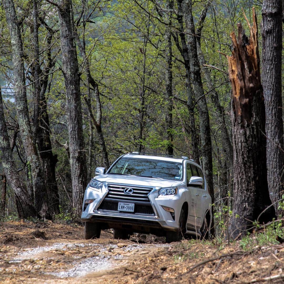 Lexus USAのインスタグラム：「Navigate any terrain with grace. Check out the #LexusGX handle the Great Smoky Mountains during our off-road adventure with hotel partner @blackberry.mountain #DrivingAmazing #LexusDestinations」