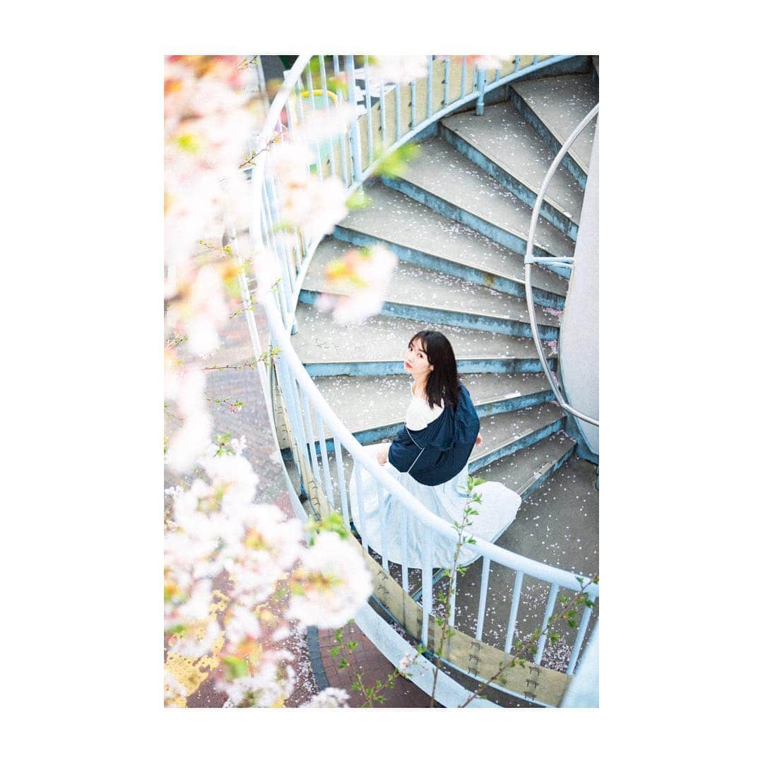 権藤朱実さんのインスタグラム写真 - (権藤朱実Instagram)「. 今年の桜は長く楽しめましたね♡ photographer：masaru furuya →@chabeck model：akemi gondo(権藤朱実) →@akemigondo テストのまとめ一部。(42)  #Japan #Tokyo #woman #girl #shooting #testshoot #portrait #test #photo #spring #cherryblossom #thankyou #桜 #春 #テストシュート #撮影 #作品撮り #写真 #モノ作り #大好きな時間 #テストのまとめ #感謝 #作品撮り募集 ご依頼は事務所までよろしくお願い致します☺︎ →@satorujapan_official #model #satorujapan #akemigondo #モデル #サトルジャパン #権藤朱実 ☑︎プロフィールのリンクにて、Blog更新中☺︎ My blog『ake photo』 →http://ameblo.jp/akemi-gondo/」4月13日 8時50分 - akemigondo