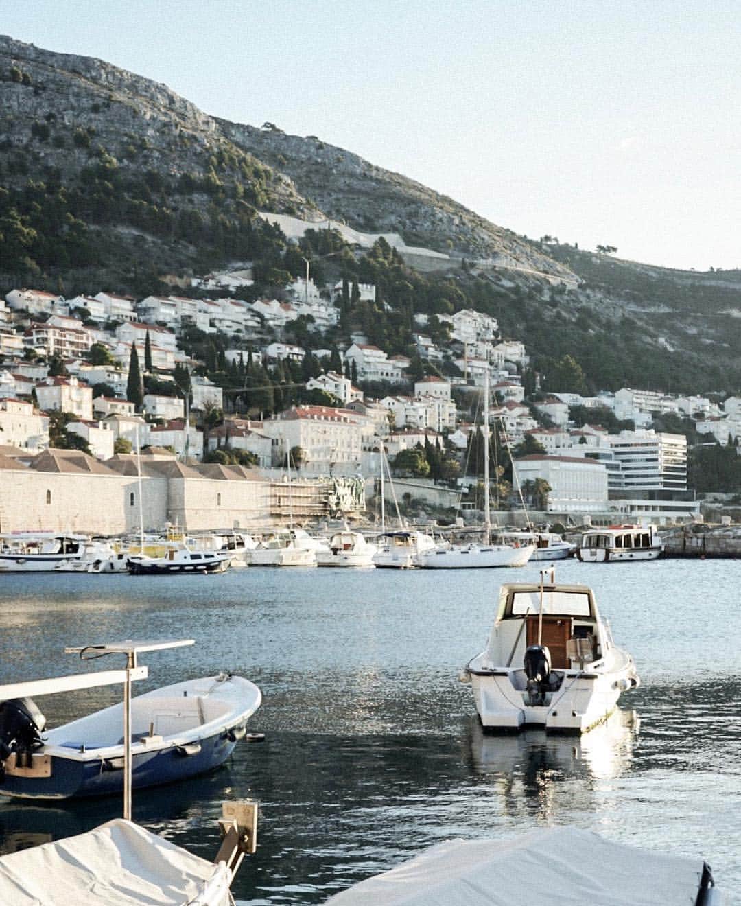 島野ミキさんのインスタグラム写真 - (島野ミキInstagram)「・ ・ 📍 ドゥブロヴニク 自然がいっぱいで早起きの散歩が楽しい。 ・ ・ #ドゥブロヴニク#ジブリ#ジブリな世界観#素敵#ドブロブニク #oldtown#Dubrovnik#Ragusa#Croatia#🇭🇷 #世界遺産#ヨーロッパ#海外生活#オシャレさんと繋がりたい #海外旅行#旅行好きな人と繋がりたい #海外好きな人と繋がりたい#クロアチア#Life#traveler#travel#海外旅行#タビジョ#女子旅#amazing#ヨット#sea#beach#boat」4月13日 9時40分 - miki_shimano