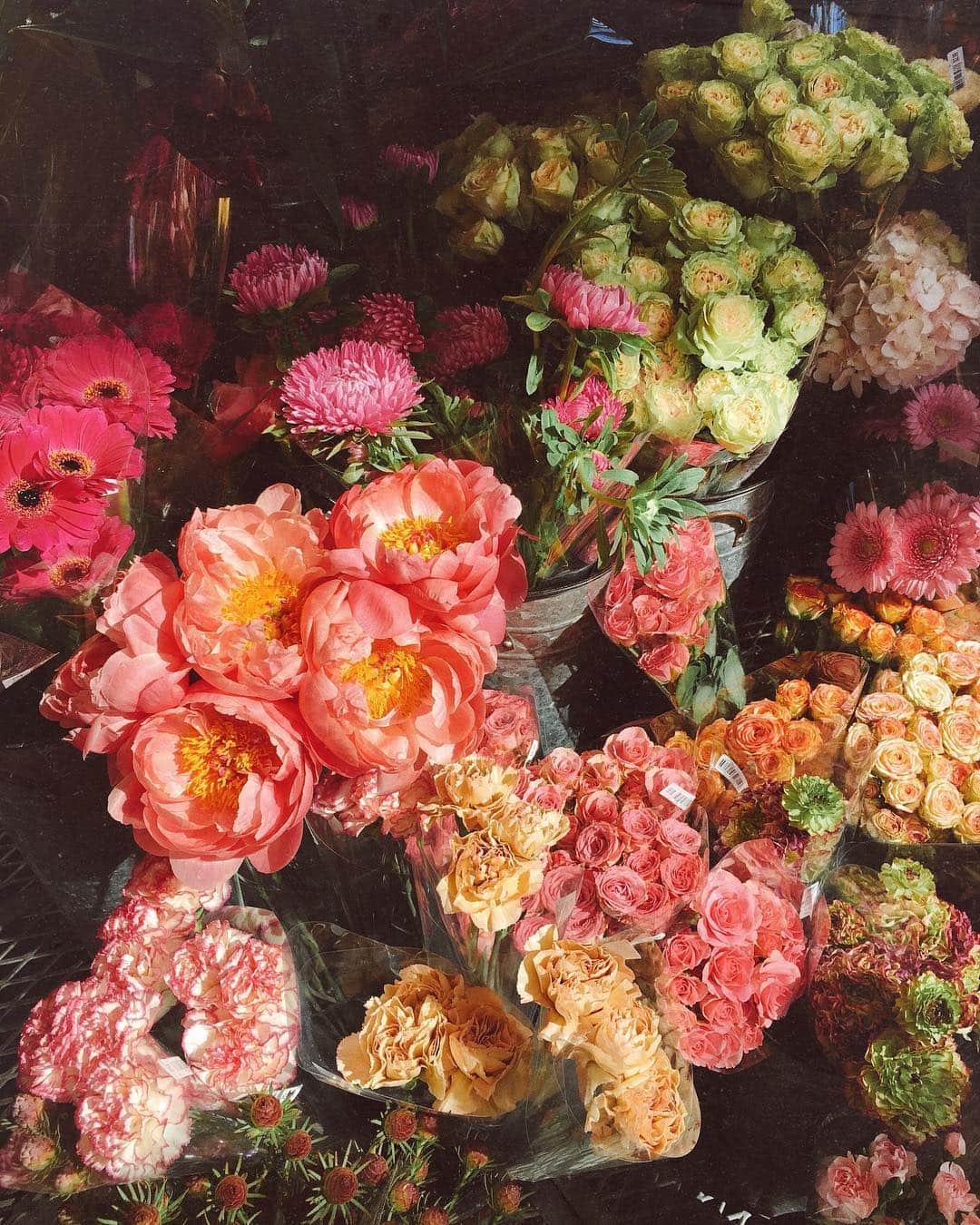 AikA♡ • 愛香 | JP Blogger • ブロガーのインスタグラム：「Friday bloom 💐 Which ones to take home with me? ✨  Not TGIF for me cuz I am too sick atm but Happy Friday my IG fam 🧡🥰」