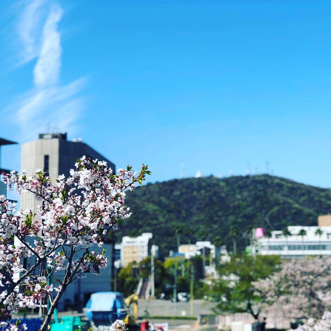 森恵さんのインスタグラム写真 - (森恵Instagram)「ランニングin徳島。 気持ちのいい天気！ 街をぐるっとゆっくりと。 久しぶりの徳島ライブ。 みんなに楽しんでもらえますように！！ #徳島 #P.Paradise #弾き語りツアー #4月13日(土) #当日券 #ランニング #nrc」4月13日 10時22分 - morimegumi_official