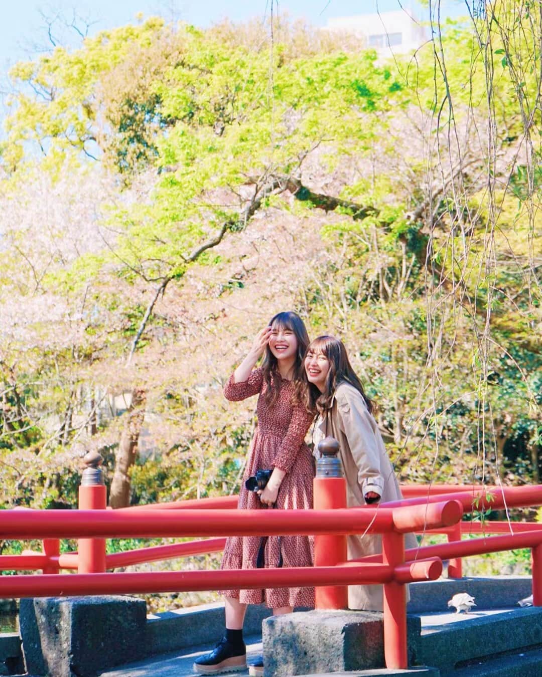 TaVisionさんのインスタグラム写真 - (TaVisionInstagram)「三島駅についてまずはじめに！﻿ ﻿ #三島大社 にやって来ました！﻿ ﻿ 入り口からすごく雰囲気がよくて中に進むと﻿ 桜がいっぱい咲いてとっても綺麗..﻿ ﻿ 小さな赤い橋や、池、木々がとても綺麗で朝から癒されたなあ..！﻿ ﻿ 参拝しておみくじも引いて、楽しかったです！﻿ ﻿ ✈︎ #伊豆TaVision﻿ ﻿ ⭐️三嶋大社﻿ ーーーーーーーーーーーーーー﻿ 住所▷〒411-0035﻿  静岡県三島市大宮町２丁目１−５﻿ ﻿ 電話番号▷055-975-0172(代表)﻿ ーーーーーーーーーーーーーー﻿ ﻿ #TaVision #女子旅 #伊豆 #伊豆旅 #伊豆女子旅 #伊豆グルメ #あけちゃる #矢田玲華 #旅行好きな人と繋がりたい」4月13日 10時34分 - tavision.tv