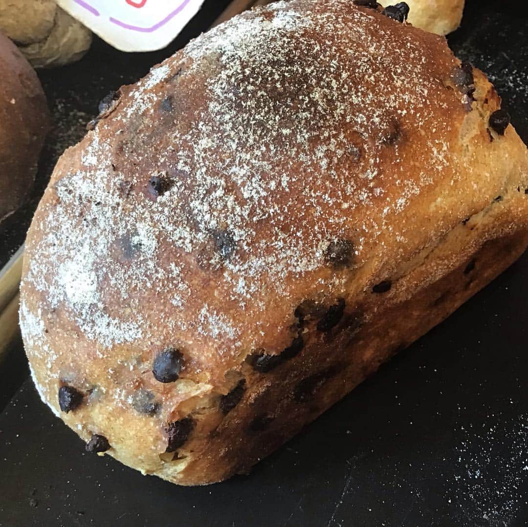 魔女菅原のグルメインスタ