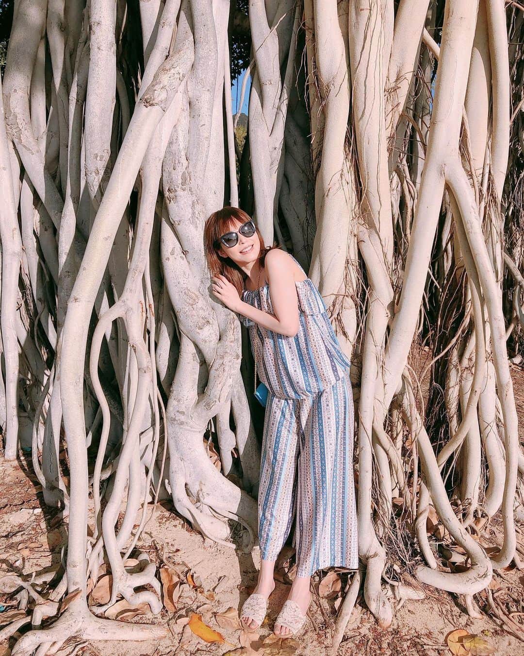 平野綾さんのインスタグラム写真 - (平野綾Instagram)「♪このー木なんの木 気になる木〜♪( ´θ｀)ノ﻿ ﻿ ﻿ ハワイにはちょいちょいこういう集合体のような木がありますね🌳﻿ ﻿ なんだか不思議✨﻿ ぶら下がってもビクともしない！﻿ ﻿ ﻿ ちなみに私が着ているのは水着なんですが、﻿ これだったら上下逆さに着ないですむね(*⁰▿⁰*)✨﻿ ﻿ ﻿ ﻿ #hawaii #oahu﻿ #ayahirano #平野綾」4月13日 10時31分 - a_ya.hirano