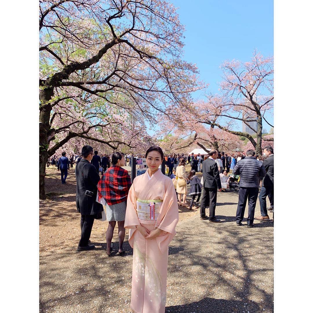 透水さらさのインスタグラム：「今日は家族で桜を見る会へ🌸 朝から着付けと髪結いを頑張ったので眠い、、、 #桜を見る会#新宿御苑#着物#桜柄」